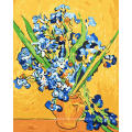 Masterpiece irises by van gogh DIY wall art paint by numbers on framed canvas